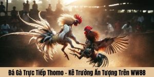 Đá gà trực tiếp thomo WW88